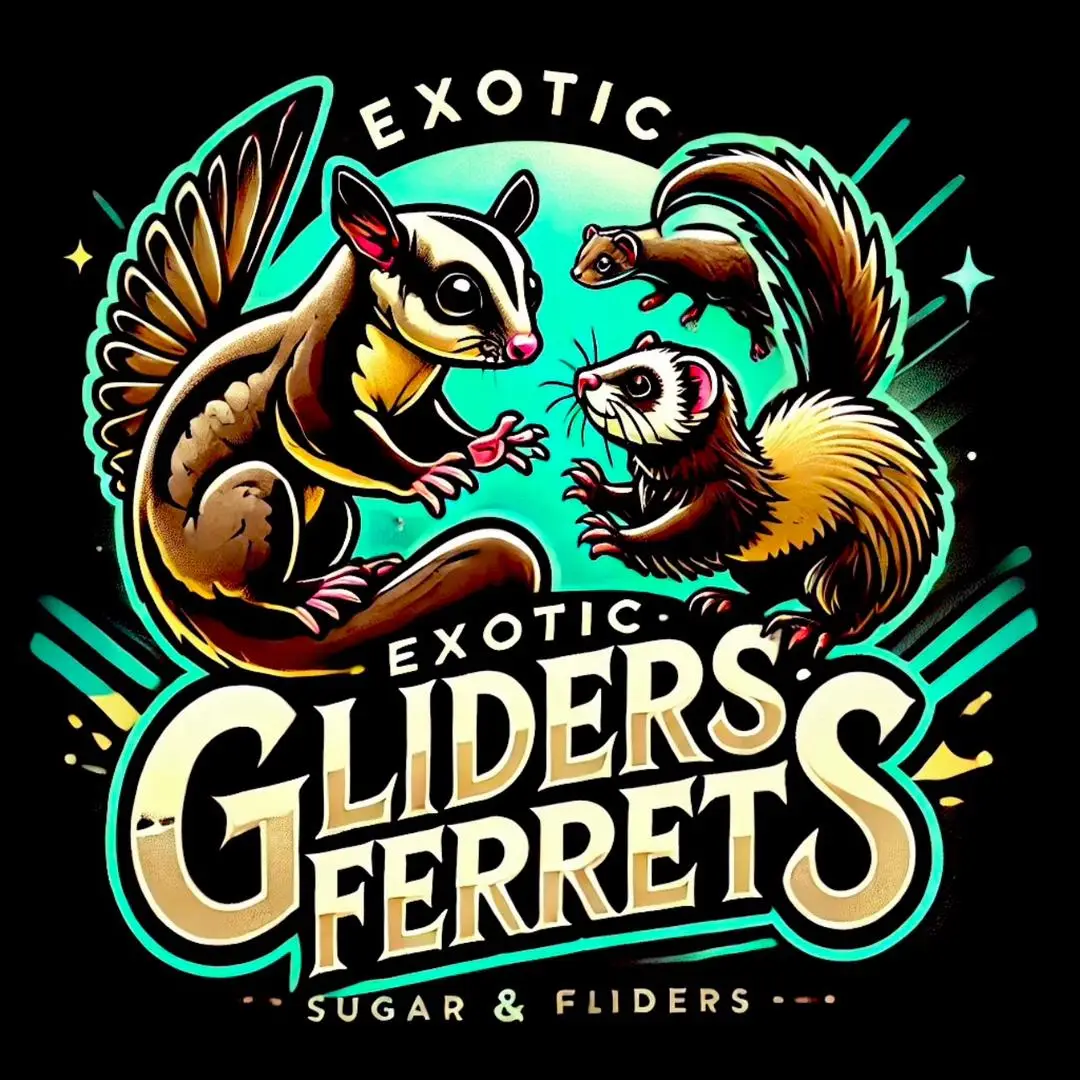 WhatsApp Image 2024-12-22 at 07.36.00_05dd1146