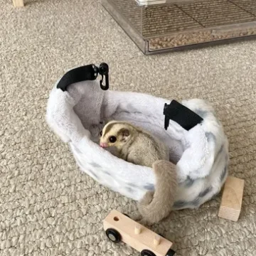 rs=w_365,cg_true (12)